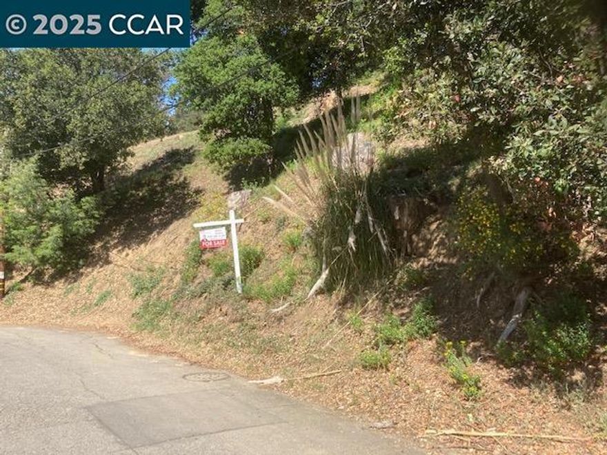 NEW PRICE REDUCTION. You must see this beautiful up-slope property in the spectacular, wooded Shepherd Canyon of the Montclair district. Offering a dramatic building site with view potential, this property feels like Lake Tahoe with all the amenities and conveniences of living in the Bay Area. And what a location! It's just a short ride down hill to shopping and dining in the quaint Montclair Village. Just up the canyon is the luxurious Hills Swim and Tennis Club. And for unbeatable hiking, biking and picnicking it's only minutes to an amazing array of incredible local and regional parks, including Shepherd Canyon, Redwood, Sibley, Huckleberry, Joaquin Miller, Chabot and more. Freeway access and transportation? Highway 13 is just down the hill with connections to 24 and 580. And it's just a short drive to Berkeley's Gourmet Ghetto, concerts at Oakland's Fox and Paramount theaters, golf at the Lake Chabot, Sequoyah, Tilden, and Redwood Canyon courses and much more. Come out and see it today.
