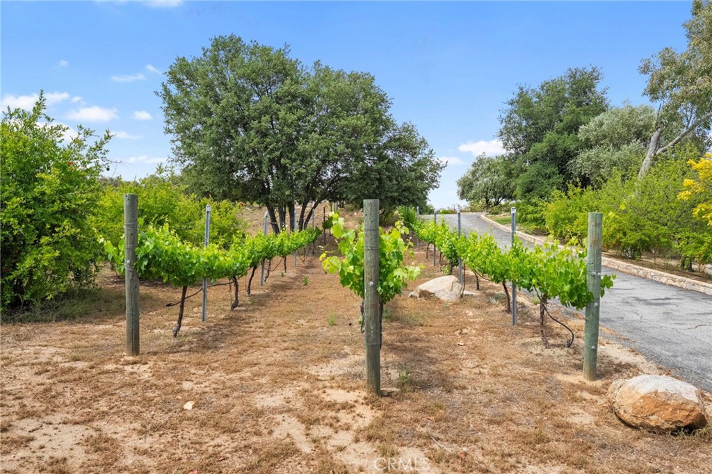Discover the perfect canvas to build your dream home on this absolutely stunning 10-acre parcel in the prestigious La Cresta Highlands. Take in breathtaking 360-degree views of rolling hills, distant mountains, and star-filled skies—an ever-changing backdrop for your future estate. This unique property features a seasonal creek and waterfall, adding a touch of serenity and natural beauty. Enjoy the beginnings of a boutique orchard and vineyard with 62 pomegranate trees, 47 Sangiovese vines, and 4 Chardonnay vines. A convenient turn-around pad is already in place, and both water and electric are available at the street, making it easier to bring your vision to life. Whether you're seeking a private estate, a peaceful retreat, or a luxury build site, this exceptional property offers an unmatched opportunity to live in harmony with nature.