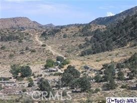 Photo of 300 E Z12 Street, Llano, CA 93544 (MLS # GD26224294)