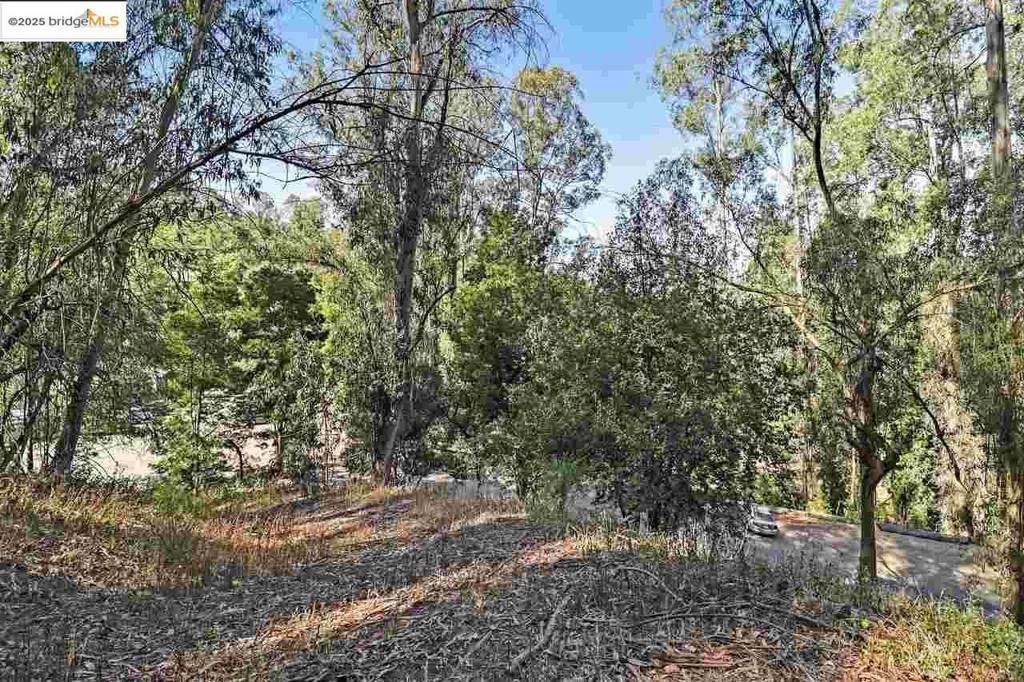Great Montclair location right across the street from the Montclair Swim Club. With views over the top of the canyon tree line, this eucalyptus filled oasis holds the new build opportunity you’ve been looking for. The adjacent lot recently sold and as per that listing multiple pre-fabricated home builders gave approvals for a pre-fab home on that lot. The small house and prefab industry are making great strides and can allow for more cost effective construction. Just up the hill from the amenities of Montclair Village and Highway 13 for a quick commute to Berkeley and Downtown Oakland. Or take a quick trip to the nearby Sibley and Huckleberry Botanic Nature Preserves. Come see what Montclair living looks like.