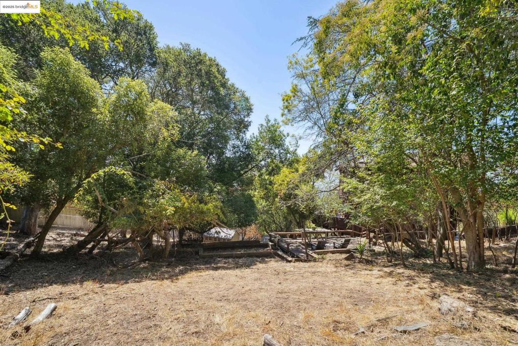 BERKELEY HILLS - Residential
