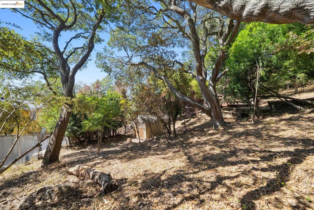 BERKELEY HILLS - Residential