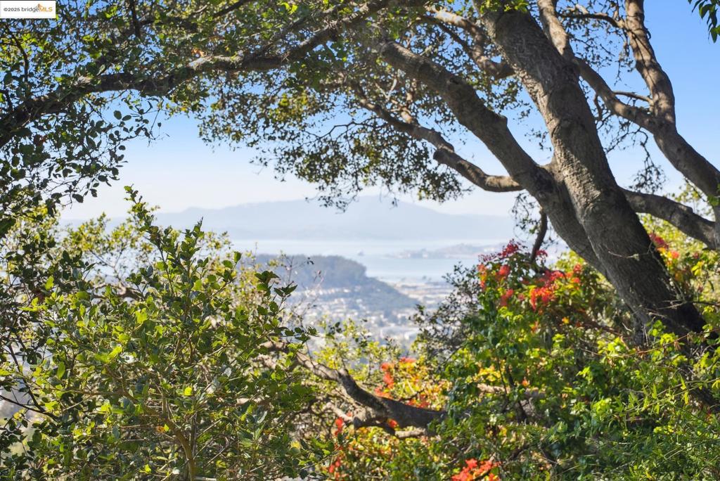 BERKELEY HILLS - Residential