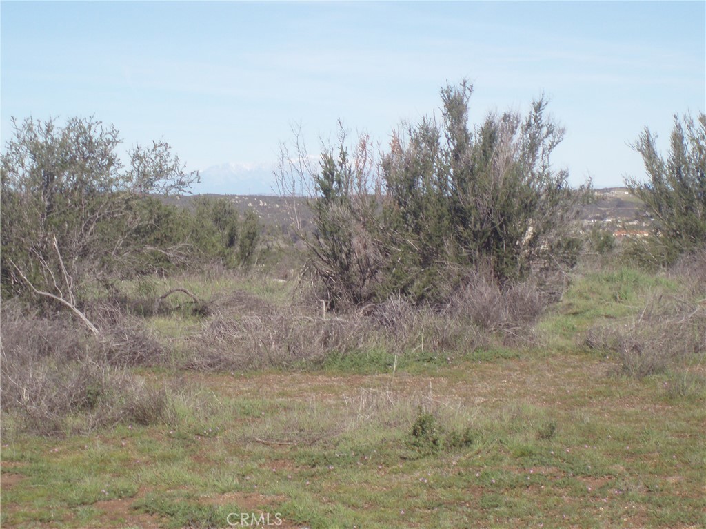53 Willow Canyon Road