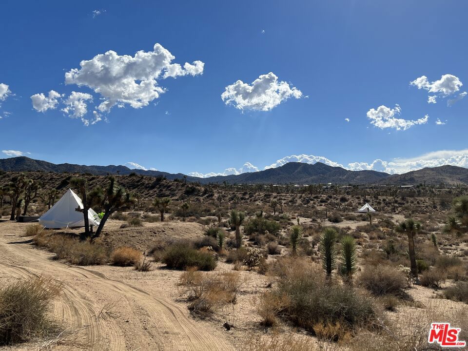 Beautiful and serene property with incredible bluff and hillside views. Just moments from Blackrock campground and Joshua Tree National Park. Within Yucca Valley town limits. Two parcels totaling 10 acres zoned for residential. Located within Covington Flats and just next to the Skyharbor neighborhood. No structures currently on property. APN: 0588-071-14-0000 and 0588-071-15-0000