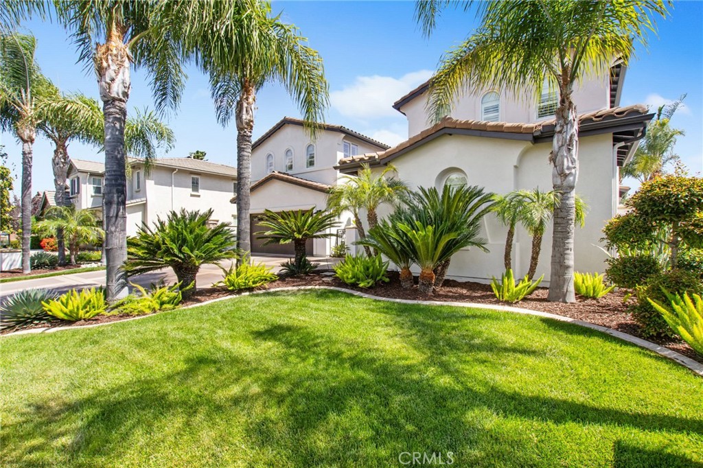 32429 Castle Court