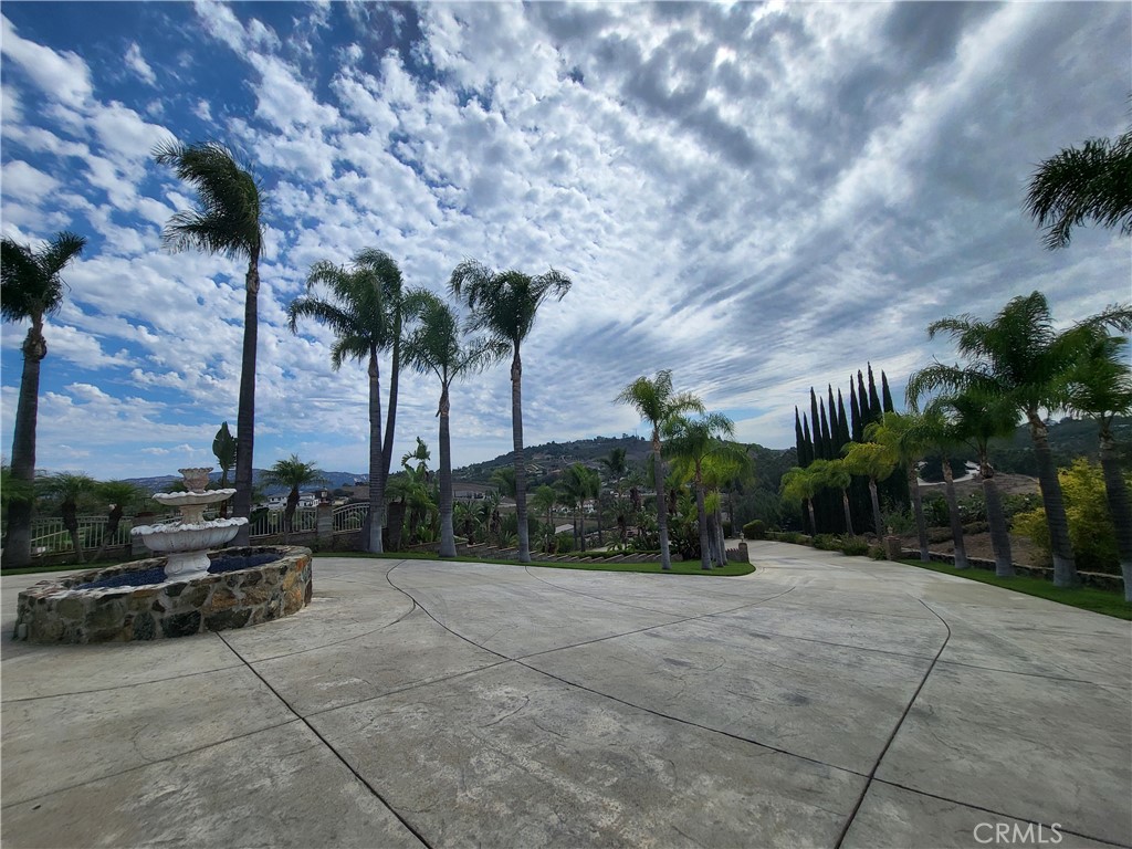 27350 Cypress