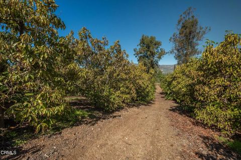 Tiny photo for 20296 S Mountain Road, Santa Paula, CA 93060 (MLS # V1-34919)