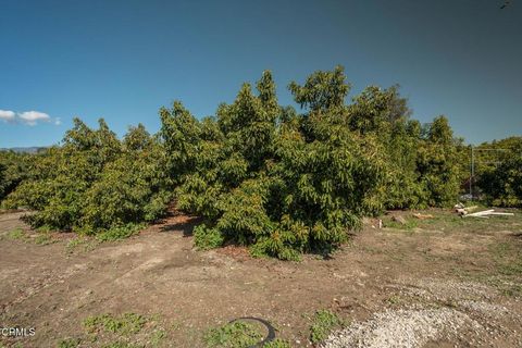 Tiny photo for 20296 S Mountain Road, Santa Paula, CA 93060 (MLS # V1-34919)