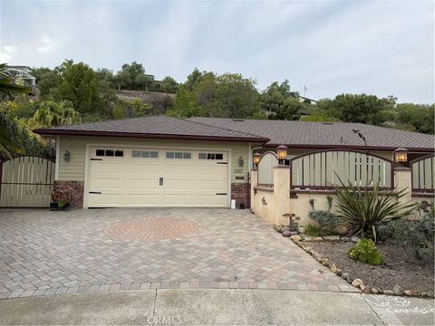25251 Swanway Court Dana Point CA 92629