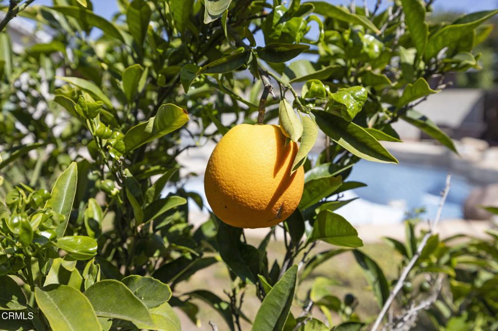 Brookhaven - 4005 - Residential