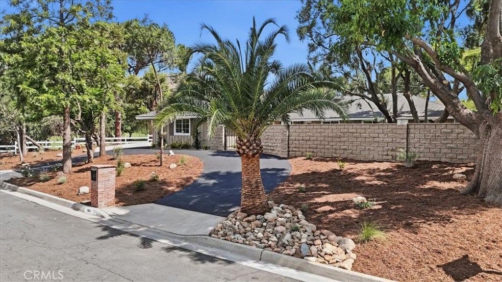 7831 Live Oak