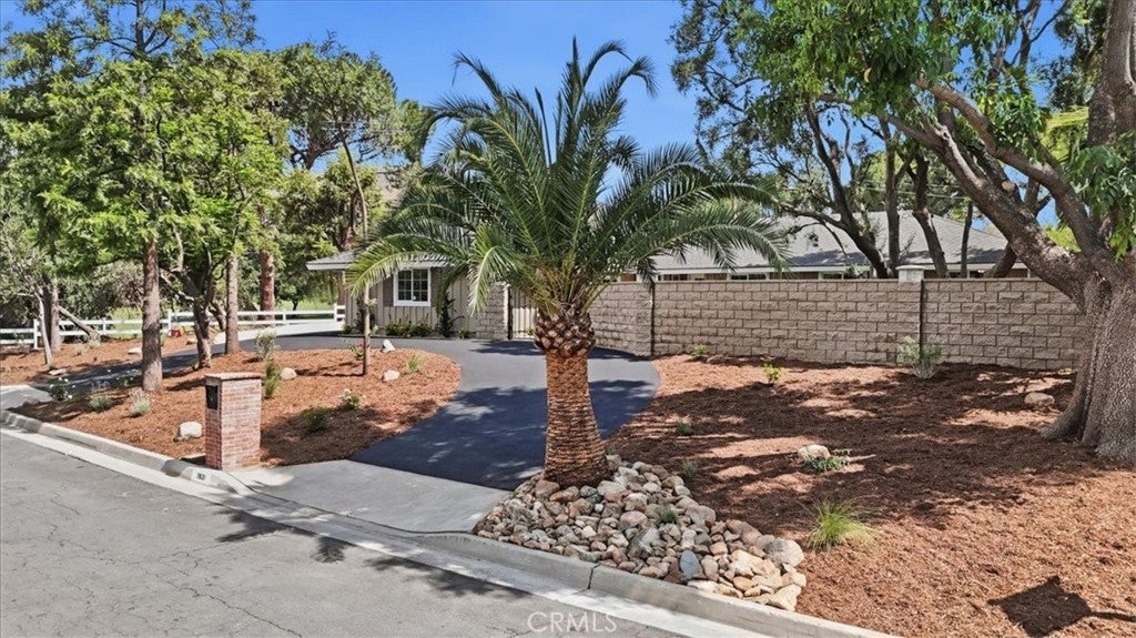 7831 Live Oak