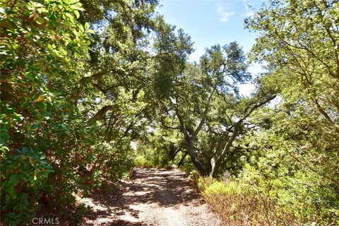 Tiny photo for 0 Old Creek Road, Templeton, CA 93465 (MLS # NS25125219)