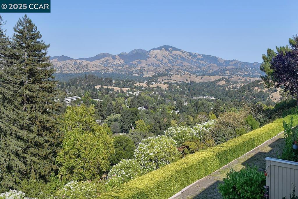 Enjoy breathtaking, unobstructed views of Mt. Diablo from this beautifully updated 3-bedroom, 2-bathroom home. Skylight illuminate lots of nature light throughout the home thoughtfully enhances all the remodeled features and flow of the home. Open kitchen creates a spacious feel and seamless connection to the living area. Highlights include granite counters, custom cabinetry, and modern finishes throughout. Both bathrooms have been tastefully updated, and the home provides a desirable layout with luxury vinyl plank flooring, plush new carpet and dual pane windows. Carport is conveniently close and home offers an additional storage unit. Perfect for those seeking comfort, convenience, and panoramic views—this home is a must-see!