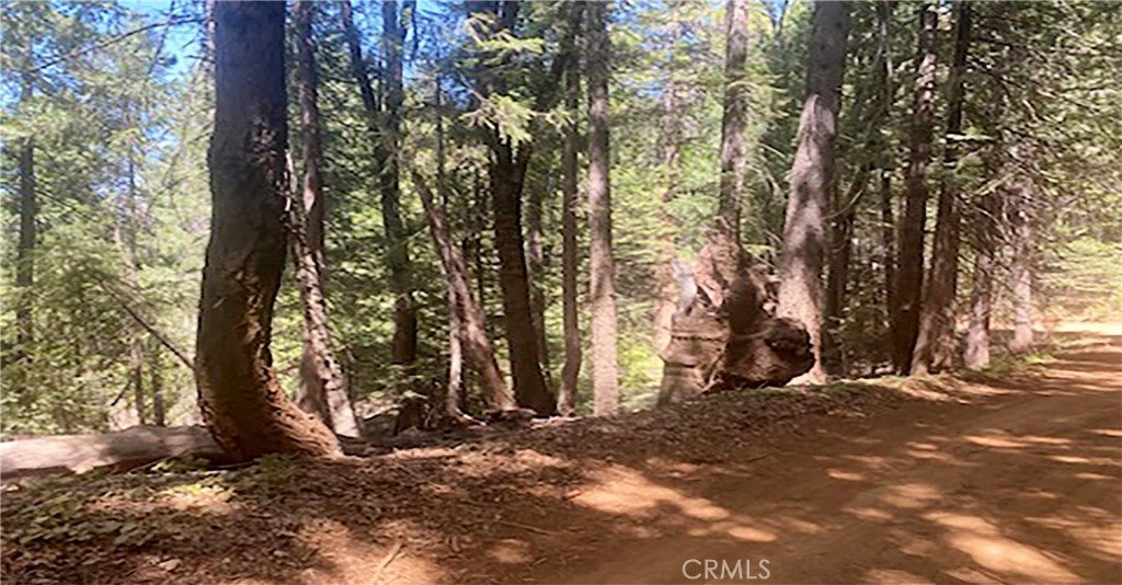 15052 Red Hill Spring Road