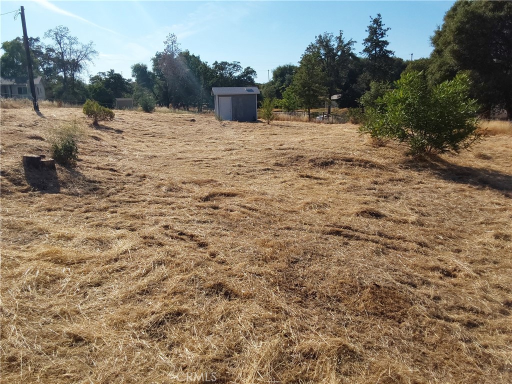 4949 Mount Bullion cutoff