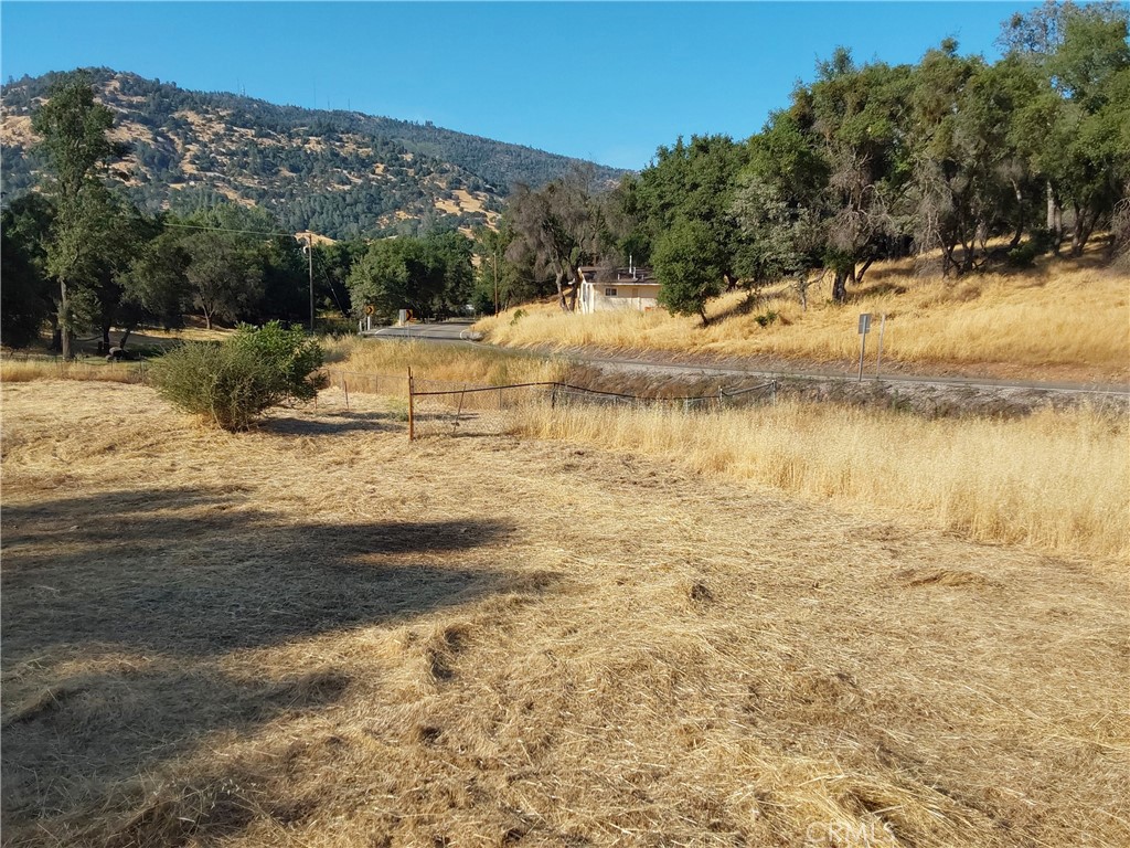 4949 Mount Bullion cutoff