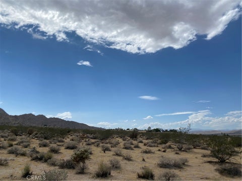 Photo of 0 California Avenue, Joshua Tree, CA 92252 (MLS # JT26192908)