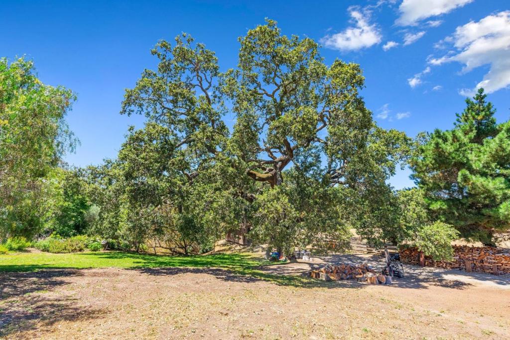 264 W Carmel Valley Road