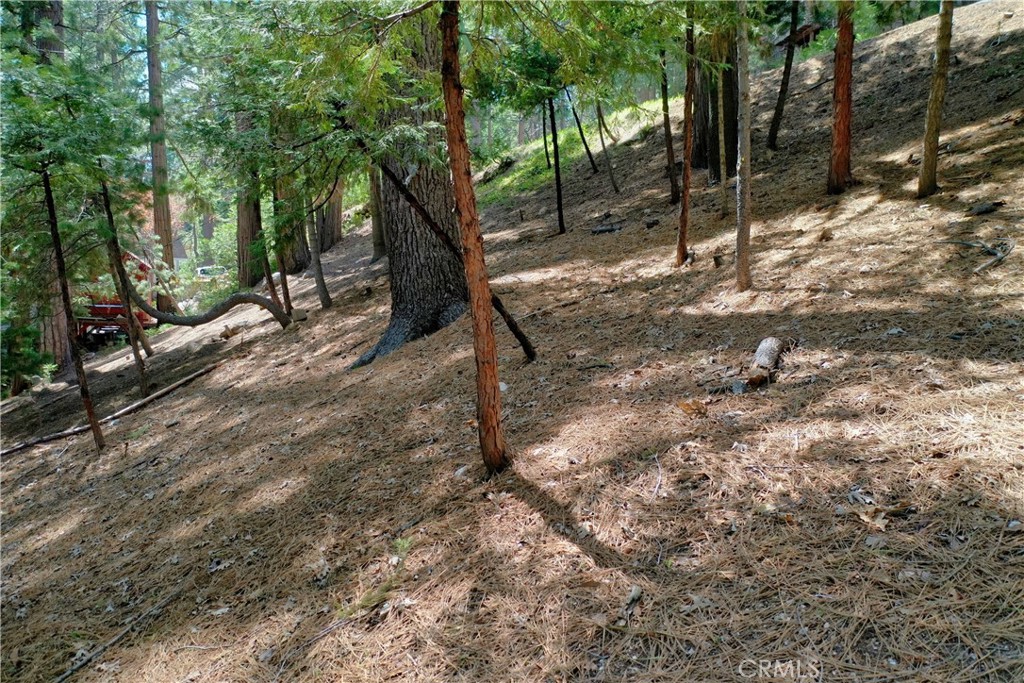 Arrowhead Woods (AWHW) - Land