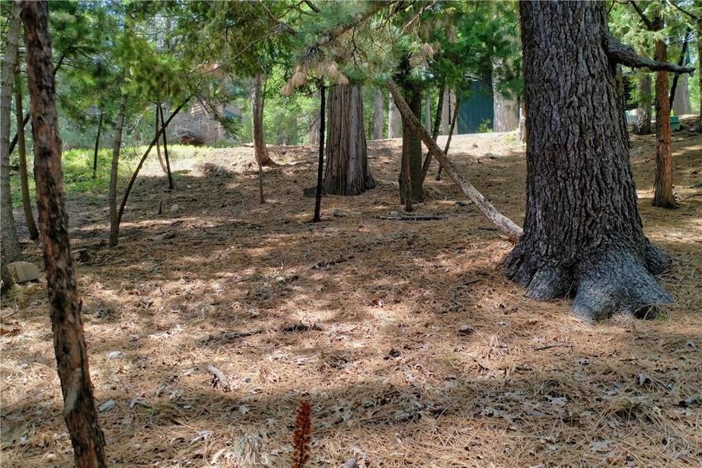 Beautiful shaded, downslope lot in Arrowhead Woods. So close to Lake Arrowhead Village and Burnt Mill Beach Club and has lake rights. Located to the right of 393 Terrace at the intersection of Terrace, Castlegate, & Shady.