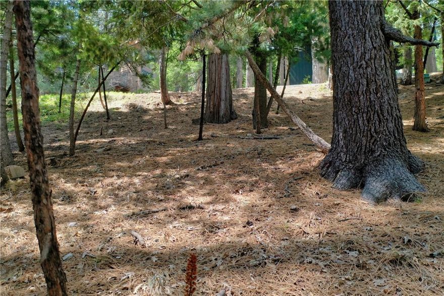 Beautiful shaded, downslope lot in Arrowhead Woods. So close to Lake Arrowhead Village and Burnt Mill Beach Club and has lake rights.  Located to the right of 393 Terrace at the intersection of Terrace, Castlegate, & Shady.