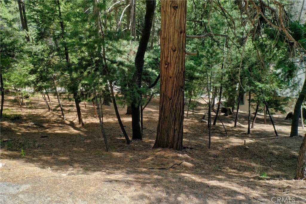 Arrowhead Woods (AWHW) - Land