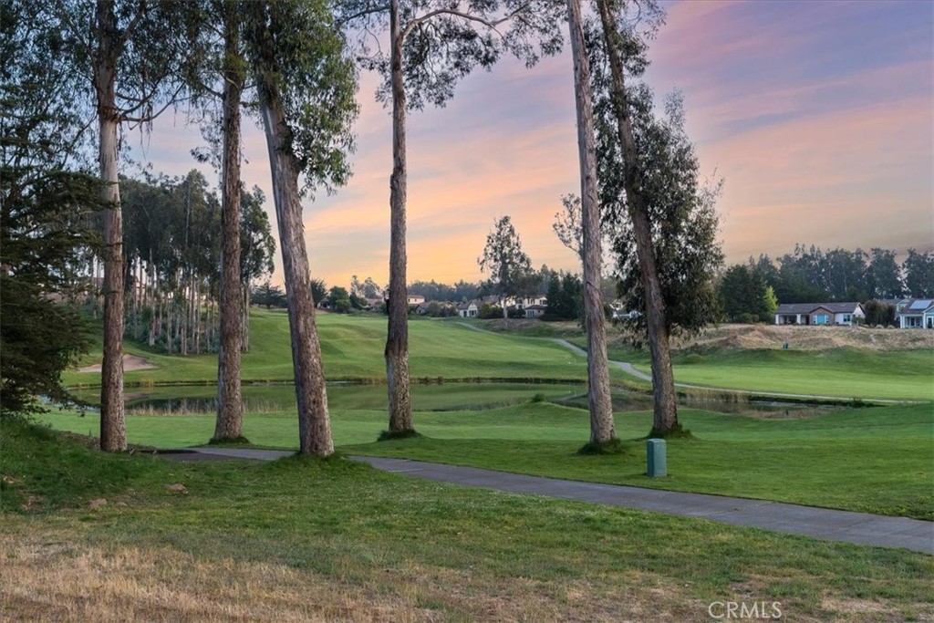 PROPERTIES 965 Sophie Court