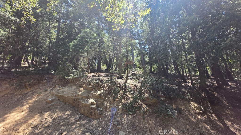 Own a beautiful part of the forest in the Cedarpines Park area of the San Bernardino mountains. If getting off the grid is something you want to do, this could be the perfect spot for you. It's heavily forested and an absolutely beautiful area. Owner will consider financing on a Note and Deed of Trust or on a Land Contract of Sale with very favorable terms. Buyer to verify all use information and utilities with the proper governing bodies and agencies. There are none that we can see. The county has not yet assigned an address to this property. Mojave River Rd is the closest Rd to the property. Use these coordinates to locate the property: Latitude: 34.259519 / Longitude: -117.317827. That will put you just about in the center of the property.