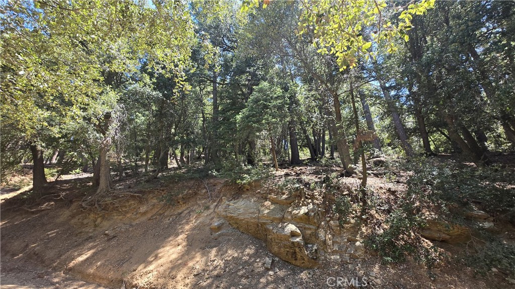 0 Mojave River Road