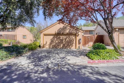 Photo of 136 Spyglass Hill Road, San Jose, CA 95127 (MLS # ML82039090)