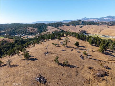Tiny photo for 2845 Main Street, Cambria, CA 93428 (MLS # SC25217002)