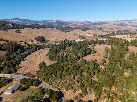 Tiny photo for 2845 Main Street, Cambria, CA 93428 (MLS # SC25217002)
