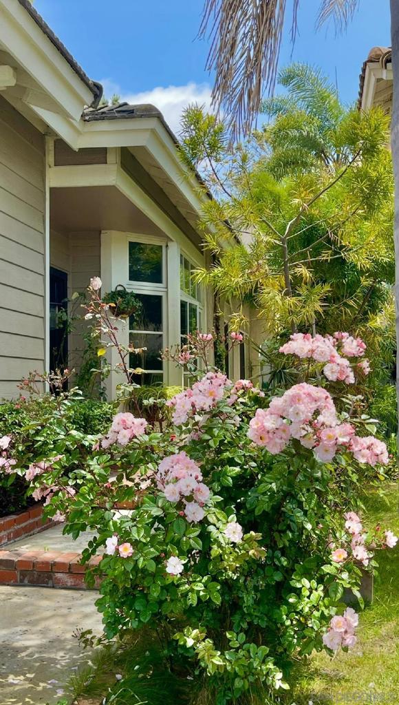 5135 Caminito Exquisito