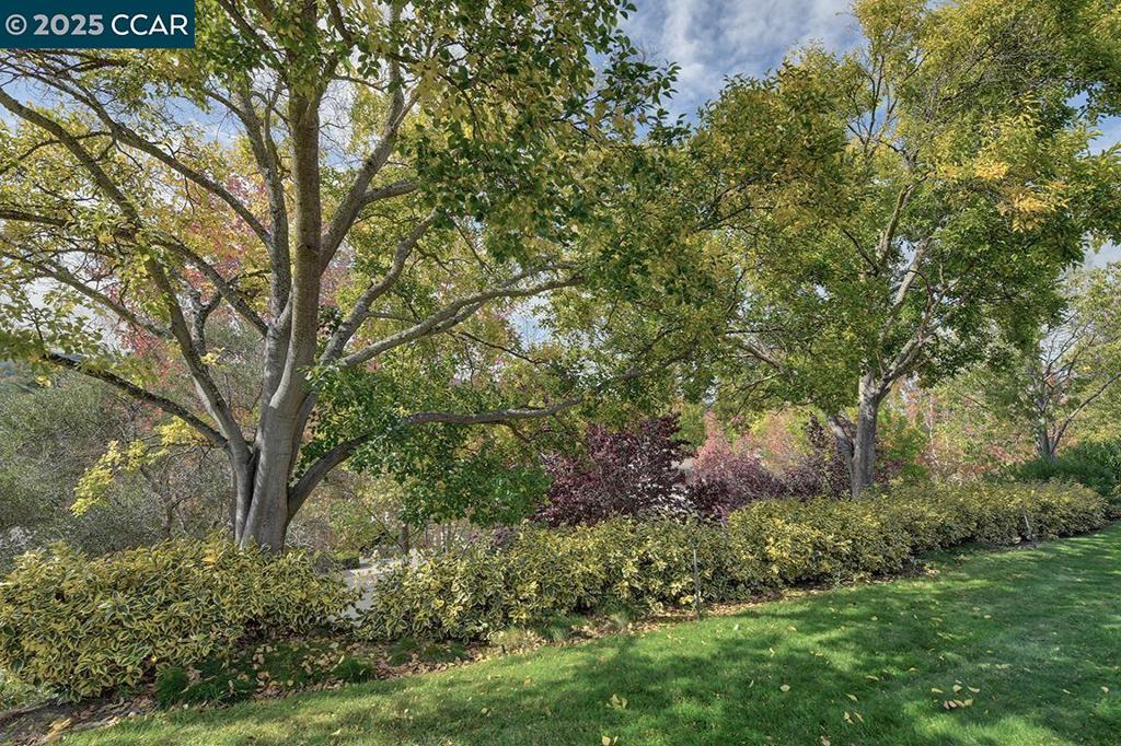 ROSSMOOR - Residential