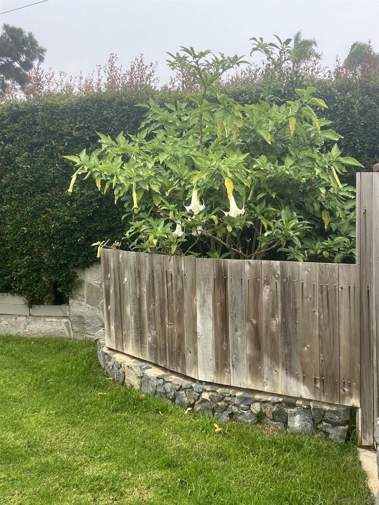 Point Loma - Residential Lease