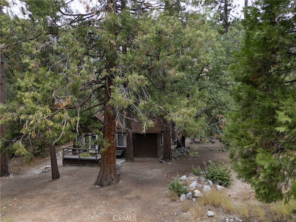 9165 Coffey Road