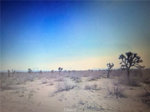 Photo of 0 Duncan Road, Phelan, CA 92371 (MLS # PW26090858)