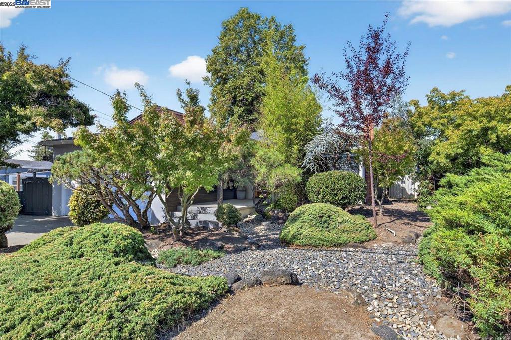 Experience tranquility in this beautifully maintained home featuring stunning Japanese gardens in both the front and backyards. Traditional elements include elegant shoji window coverings in the living room and decorative Japanese lanterns adorning the exterior, enhancing the home's peaceful ambiance. Enjoy cozy evenings by the wood-burning fireplace in the spacious living room, filled with natural light from skylights thoughtfully placed throughout the home. The primary suite offers a private retreat, while an expanded third bedroom provides an added space, which can be used as an office, playroom, etc. The home also boasts gleaming recently refinished hardwood floors and dual paned windows. Centrally located in the heart of Castro Valley, this home offers easy access to nearby parks, shops, BART, restaurants, and more, combining serene living with everyday convenience. A rare blend of traditional aesthetics and modern comfort, in an ideal location.