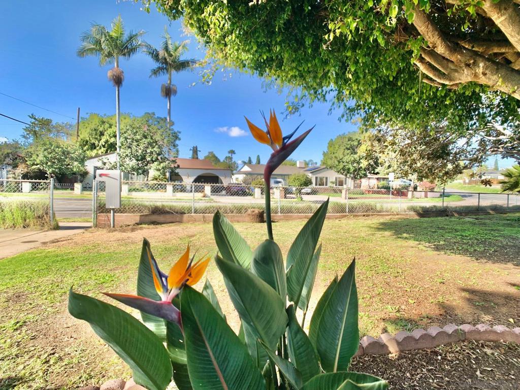 Lemon Grove - Residential