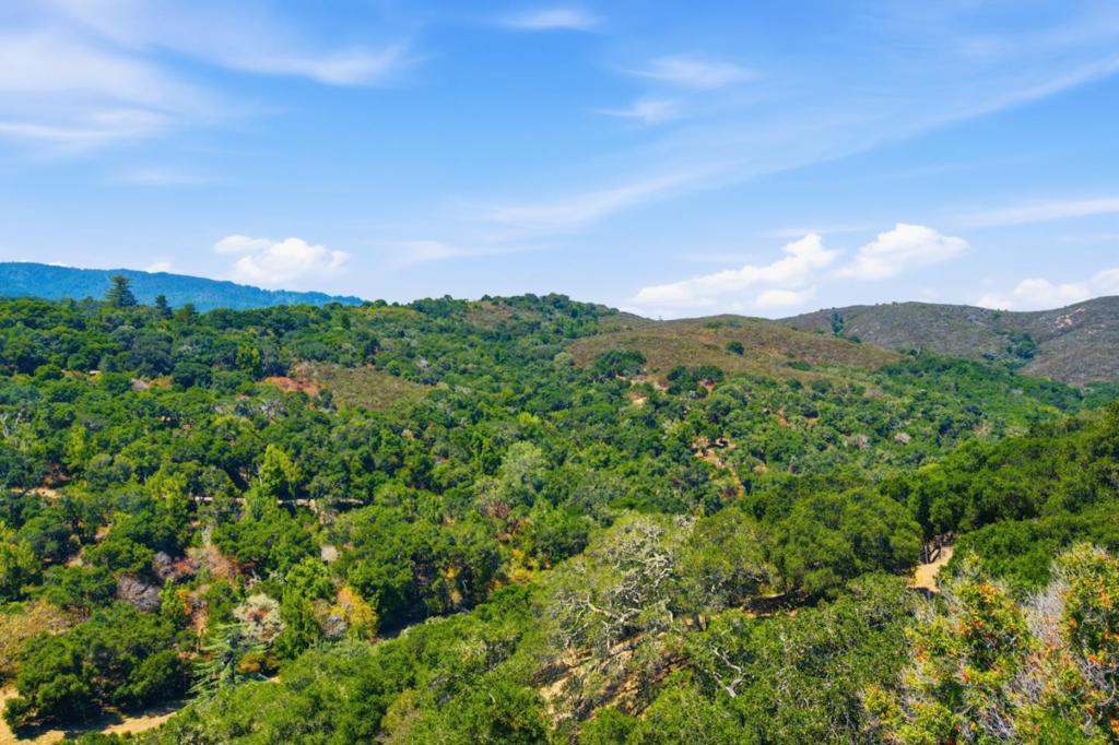 3368 La Mesa Drive 12
