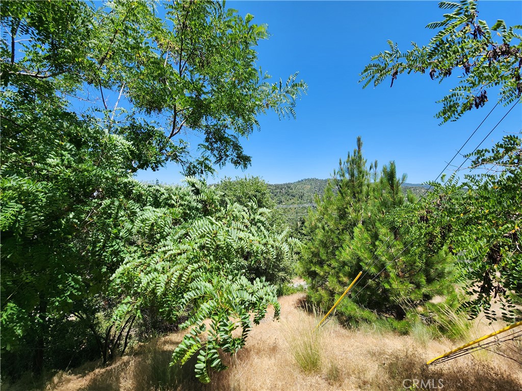 Upper Rowco (UPRW) - Land