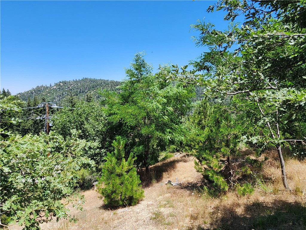 Ideal gently sloping lot with gorgeous ridgeline views and just around the corner from National Forest access to miles of hiking trails, waterfalls,swimming ,fishing and more. This lot comes with recent house plans that will save the lucky Buyer almost $20,000 and 6 to 9 months of design work. Located on paved and county maintained Encina Way with all utilities (water,sewer,gas,electric,phone,internet,cable) conveniently located at or near the street. Approx. 5,420 SQ FT of beautifully treed land with stunning views. Don't miss this unique opportunity to purchase a great gentle downslope lot with house plans...make your offer today!