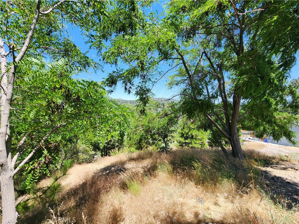 Upper Rowco (UPRW) - Land