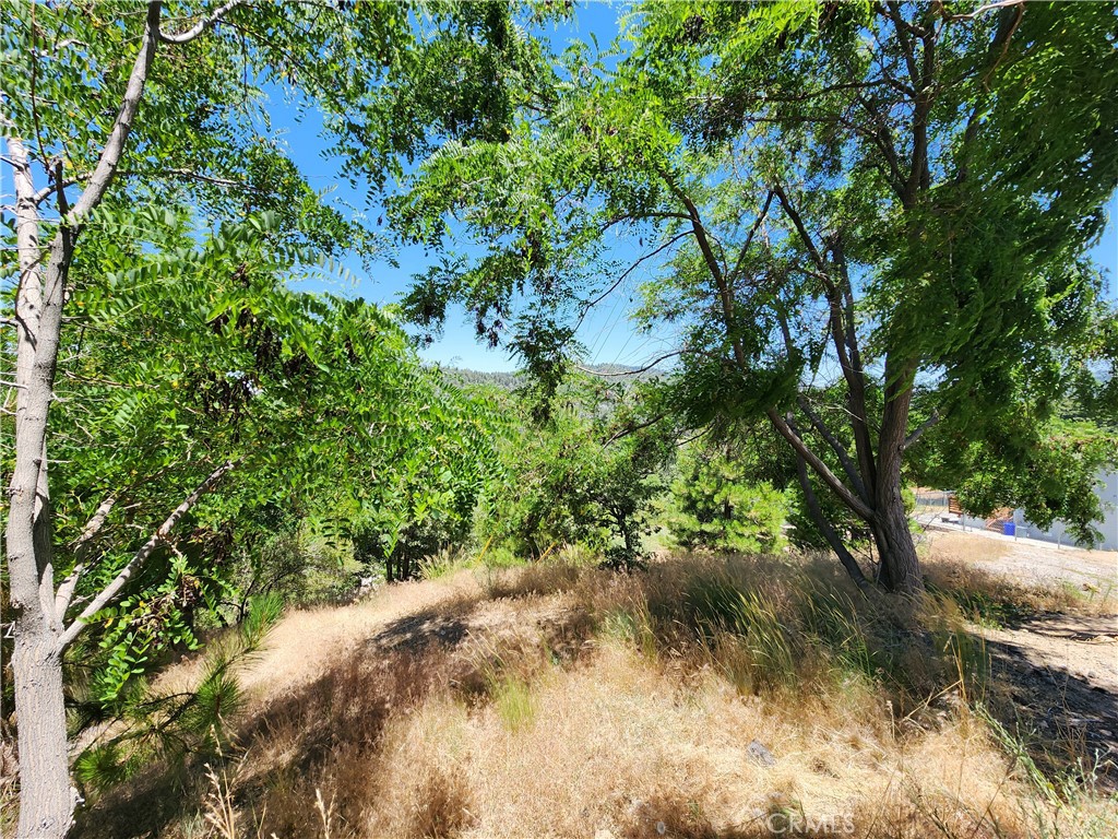 Upper Rowco (UPRW) - Land