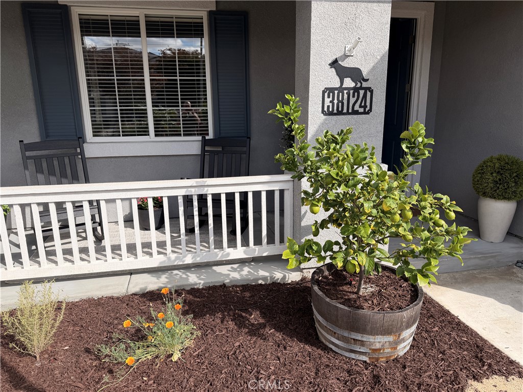 38124 Placer Creek