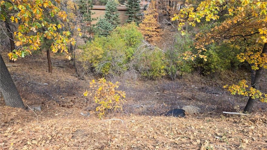 Beautifully treed downslope lot in desirable Moonridge area of Big Bear City. This 7,200 SF (90 x 80) parcel offers an exceptional opportunity to build your dream mountain home! A sewer line runs along the back of the property at the lowest point, allowing for a gravity-flow system — no pump is required. All utilities are available. The sale includes a complete set of architect-designed building plans for a stunning two-story, 3,500 SF residence featuring 5 bedrooms and 3 baths, plus soils report, property survey, and letters from utility companies confirming service connections. Five architectural renderings and the floor plan are available in the listing photos. This is a ready-to-go package — just bring your vision to life! Perfect for an investor, builder, or anyone seeking a turn-key opportunity to create a custom home in one of Big Bear’s most sought-after neighborhoods. Includes all plans, reports, and documentation.