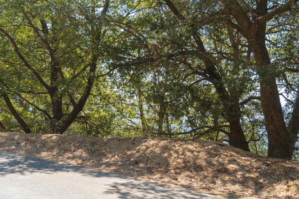 Not Applicable-1 - Land