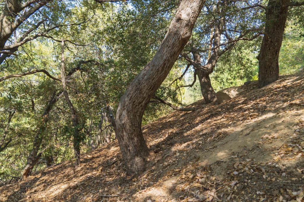 Not Applicable-1 - Land